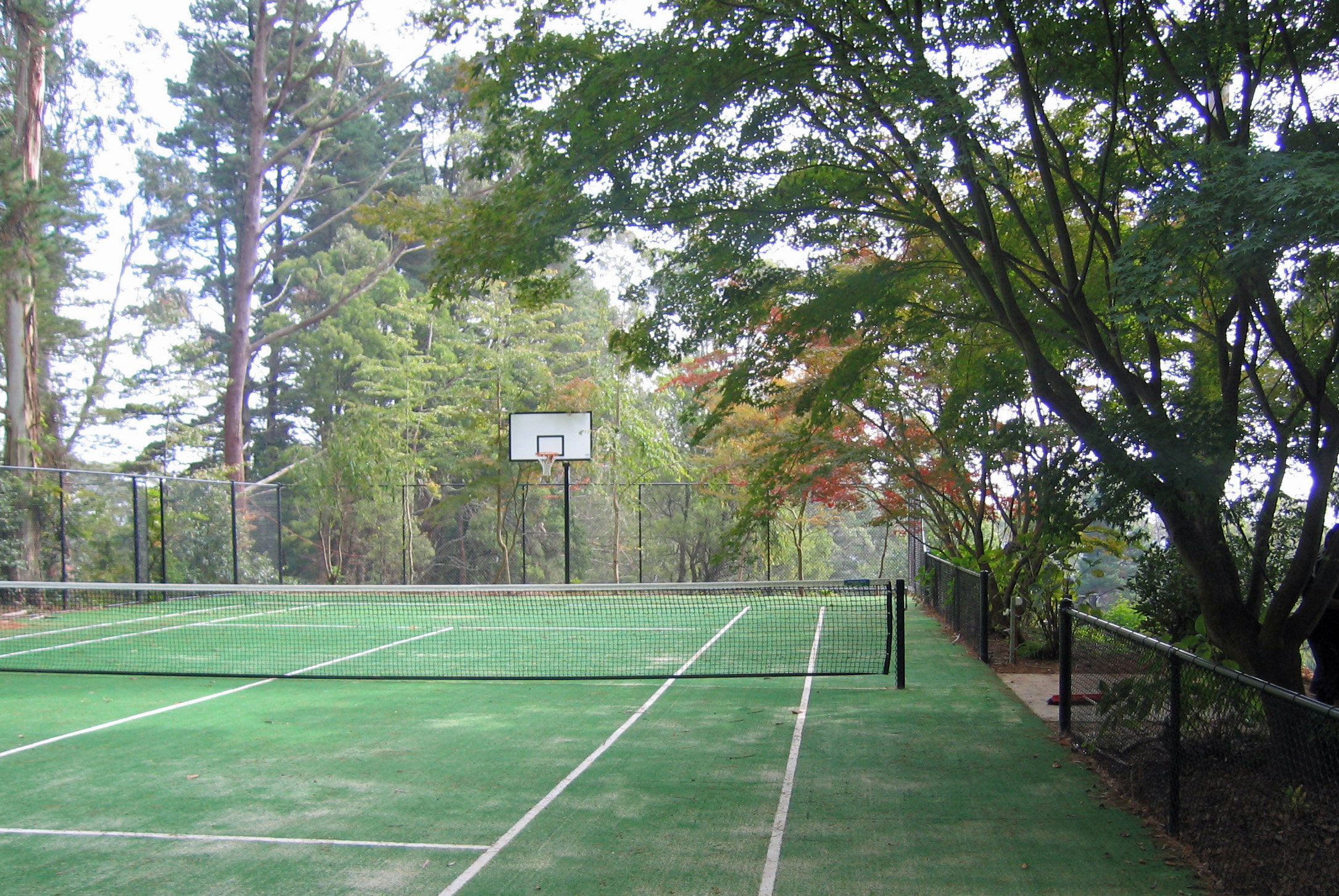 Home Court - Pacific Grass